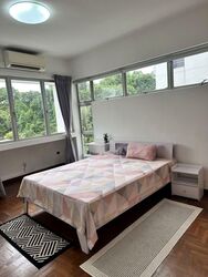 Clementi Park (D21), Condominium #558080871